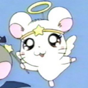 Meet your Posher, Rose